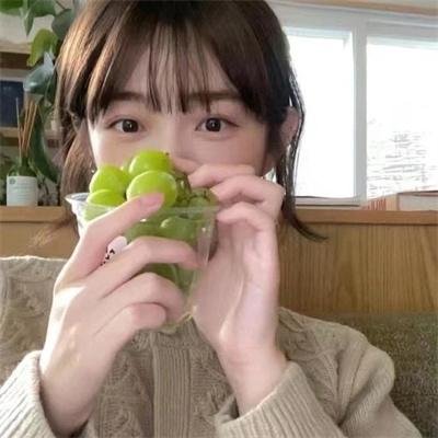 梦之森林
